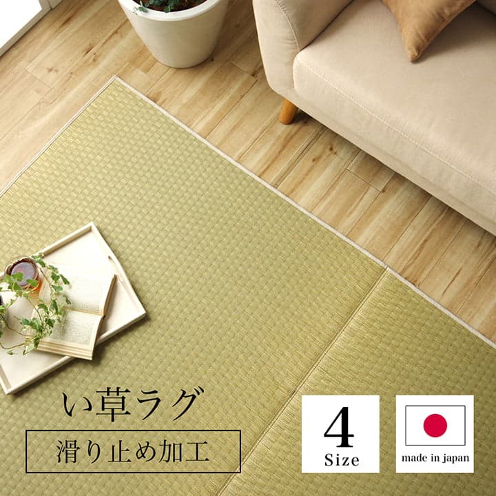 �����ҥ� �饰 Ĺ���� ���� ������ �� �����Ǻ� ���ߤ�ù� �ʥ����� �Ծ��� �����륷������ �ý� ����ץ� ��140��200cm �ۥåȥ����ڥå��б� ����˼�б� 1051641012303��������Բġۡ��̳�ƻ����Υ��������Բġ�-��������-
