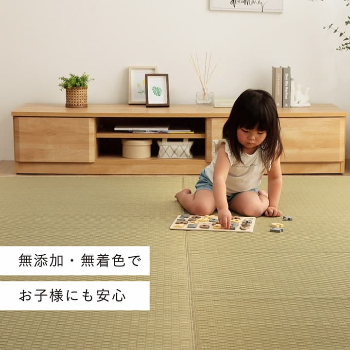 �����ҥ� �饰 Ĺ���� ���� ������ �� �����Ǻ� ���ߤ�ù� �ʥ����� �Ծ��� �����륷������ �ý� ����ץ� ��140��200cm �ۥåȥ����ڥå��б� ����˼�б� 1051641012303��������Բġۡ��̳�ƻ����Υ��������Բġ�-��������-
