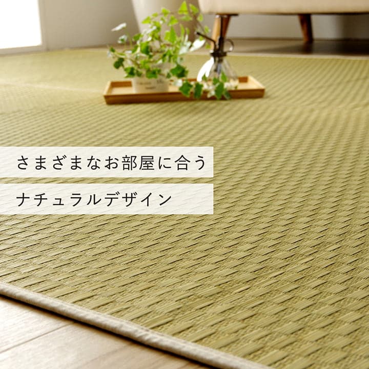 �����ҥ� �饰 Ĺ���� ���� ������ �� �����Ǻ� ���ߤ�ù� �ʥ����� �Ծ��� �����륷������ �ý� ����ץ� ��140��200cm �ۥåȥ����ڥå��б� ����˼�б� 1051641012303��������Բġۡ��̳�ƻ����Υ��������Բġ�-��������-