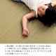 �����ҥ� �饰 Ĺ���� ���� ������ �� �����Ǻ� ���ߤ�ù� �ʥ����� �Ծ��� �����륷������ �ý� ����ץ� ��140��200cm �ۥåȥ����ڥå��б� ����˼�б� 1051641012303��������Բġۡ��̳�ƻ����Υ��������Բġ�-��������-