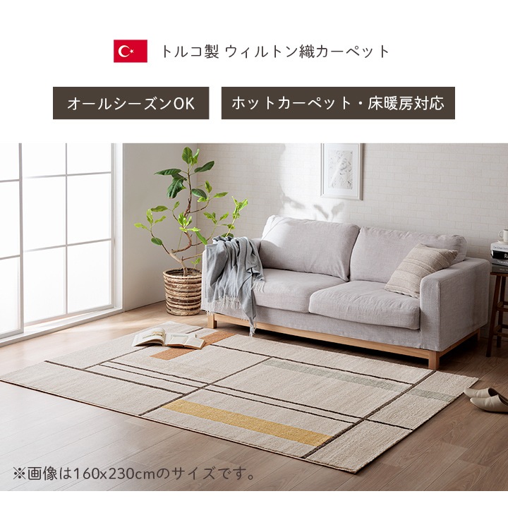 �����ҥ� �����ڥå� �ǥ�����饰 ������ȥ󥫡��ڥå� Ĺ���� �����ܥ꡼ �̲��� �饤����  ��200��250cm 1321670010601��������Բġۡ��̳�ƻ����Υ��������Բġ�-��������-