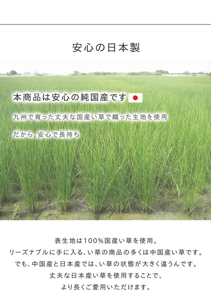 �����ҥ� ���å���ޥåȡ�120cm ���ˤ����ù� �񻺤��𡡥���ץ롡�ؤ���Ȫ�� ���졼 ��43��120cm 1081110135005��������Բġۡ��̳�ƻ����Υ��������Բġ�-��������-