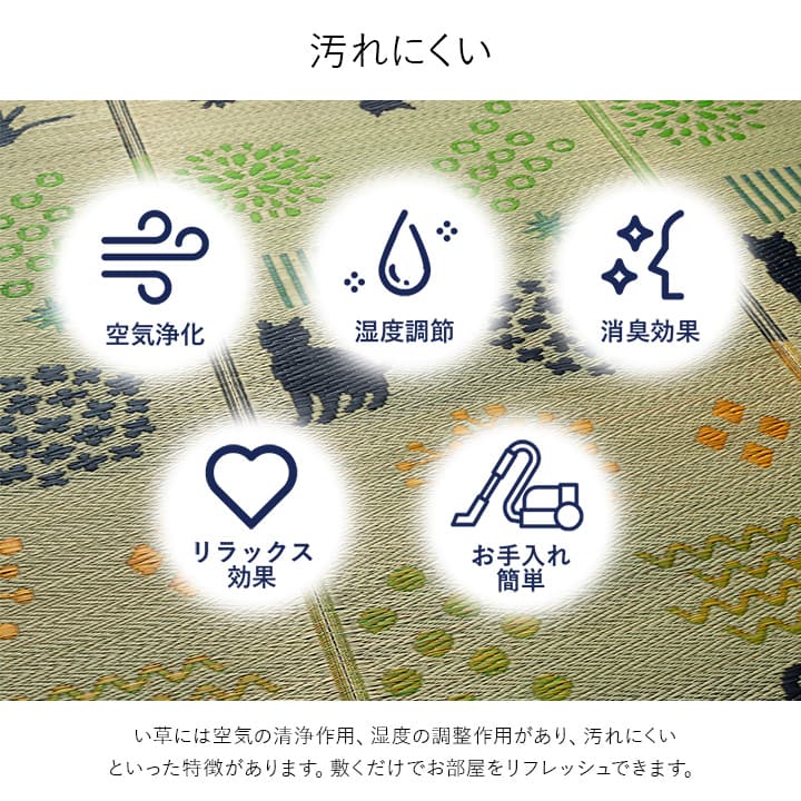 �����ҥ� ����饰 ǭ����������ǭ������ƥꥢ�����š����ѡ��ä�����������졡�������� ����Ĵ�� �ý����� ���������ñ �֥�å� ��180��240cm 1060920034104��������Բġۡ��̳�ƻ����Υ��������Բġ�-��������-