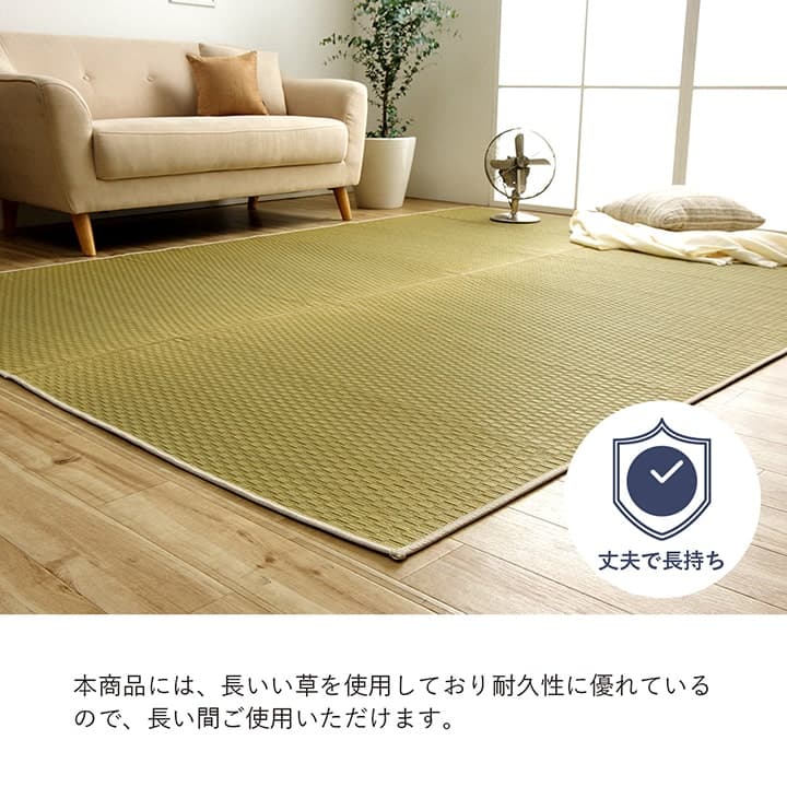 �����ҥ� �饰 Ĺ���� ���� ������ �� �����Ǻ� ���ߤ�ù� �ʥ����� �Ծ��� �����륷������ �ý� ����ץ� ��3�� ��191��250cm �ۥåȥ����ڥå��б� ����˼�б� 1051641013904��������Բġۡ��̳�ƻ����Υ��������Բġ�-��������-