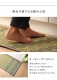 �����ҥ� ���å���ޥåȡ�180cm ���ˤ����ù� �񻺤��𡡥���ץ롡�ؤ���Ȫ�� ���졼 ��43��180cm 1081110135105��������Բġۡ��̳�ƻ����Υ��������Բġ�-��������-
