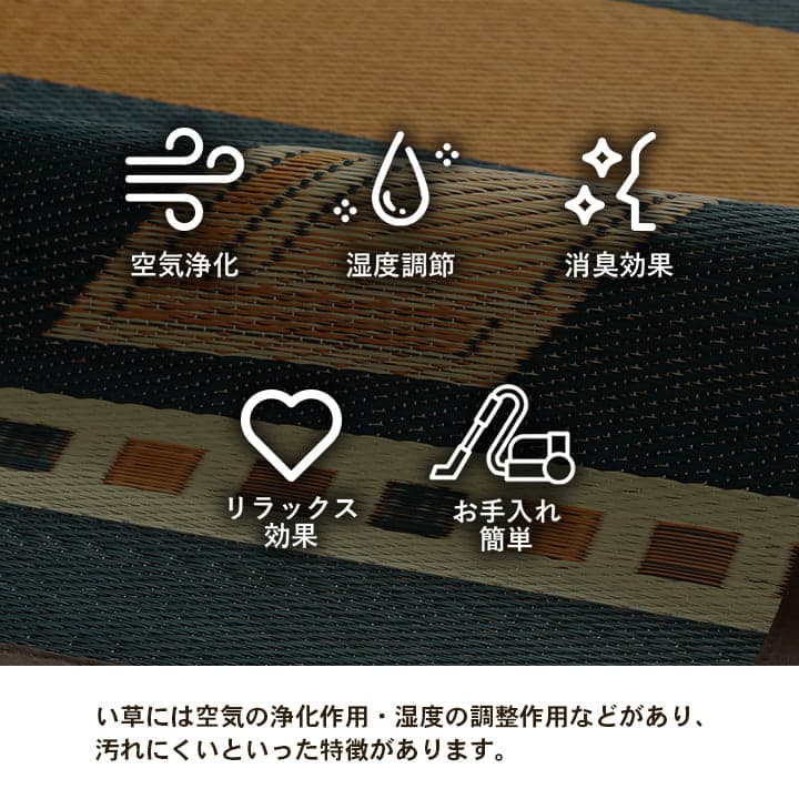 �����ҥ� ����ॷ�꡼���饰������饰�������ڥåȡ����ѡ����š�������졡�̲�Ĵ�������Ǻࡡŷ���Ǻࡡ��������������˥å����͵����֥饦����140��200cm 1051750062303��������Բġۡ��̳�ƻ����Υ��������Բġ�-��������-