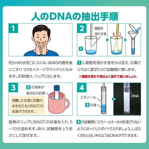 ARTEC �����ƥå� ��̿���߷׿�!?DNA��Х��å� �ʳع��� 58508 �ڥ���󥻥��Բġ��̳�ƻ����Υ�������Բġ�-��������-