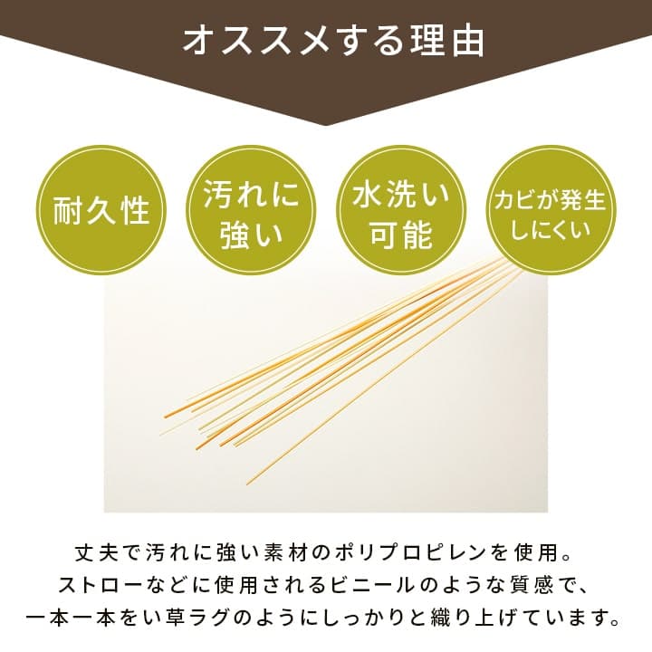 �����ҥ� ������ ���� ������ �� �����ڥå� ���� ���ݥ��ץ졼�б� �ߵ� �饰 ��ʪ �ڥå� ̵�� ���꡼�� ���ʹ�1������87��174cm�� 1090040000802��������Բġۡ��̳�ƻ����Υ��������Բġ�-��������-