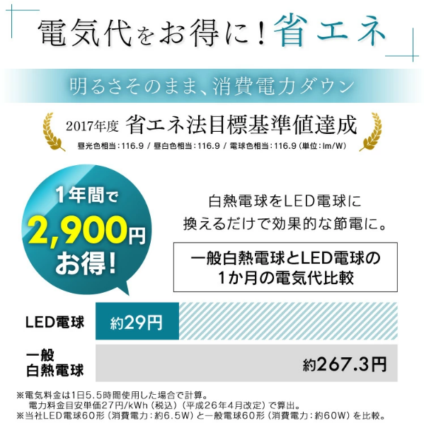 アイリスオーヤマ LED電球 E17 広配光2P 昼光色 60形(760lm) LDA7D-G-E17-6T62P - 0501-4967576408134-ds -お取り寄せ品-【キャンセル不可・北海道沖縄離島配送不可】