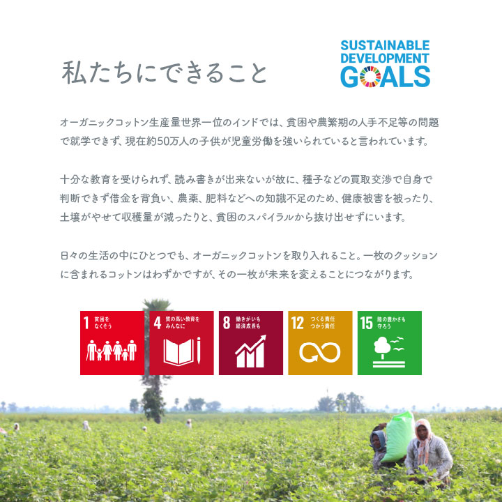 �����ҥ� ���å���� ������ �ػ� ������ �������˥å����åȥ� ��100% �ܡ����� ������ �ͥ��ӡ� ��43��43cm 1210880190201��������Բġۡ��̳�ƻ����Υ��������Բġ�-��������-