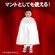 ARTEC アーテック 運動会・発表会・イベント 衣装・ファッション ソフトサテンマント・スカート ストレート 白 商品番号 14667 お取り寄せ