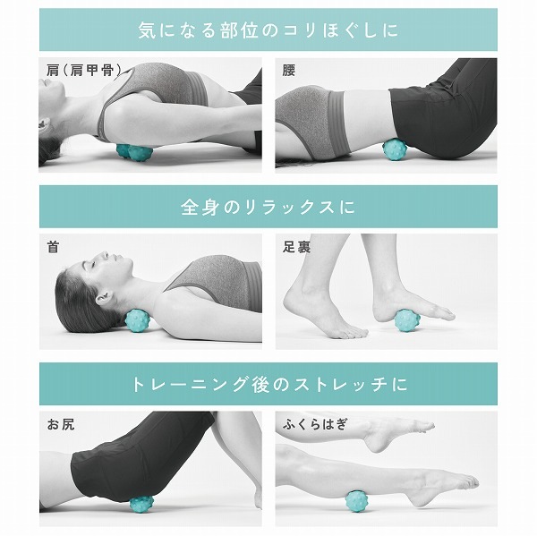 ELECOM ���쥳�� HCK-PBTRSBUL �����؎����Ύߎ��� ���Ӥ뎽�Ďڎ����Ύގ��� �̎����̎� ���̎� �ڎ��ގ��׎��������� �׎��Ď̎ގَ� �ڥ���󥻥��Բġ��̳�ƻ����Υ�������Բġ�