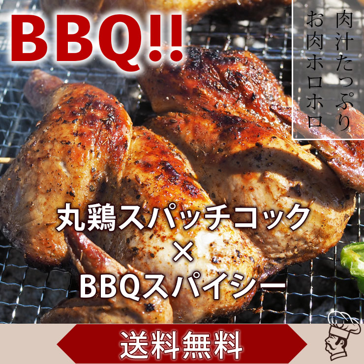 【 送料無料 】 バーベキュー BBQ 鶏の丸焼き スパッチコック 丸鶏 1羽 惣菜 ボリューム スパイシー グリル 生 肉 チルド アウトドア パーティー