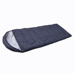 ������ա����դ�����