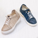 ߥåĥĴ쥤󥽡륹ˡ