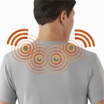 �ޥ��ͥ��å�����Բ�������ʡ����ѥ��