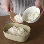 ���Ӥ����Ƥ�󤪤Ҥģ���