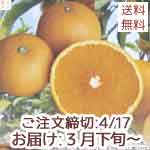 ��ë������������󥴡���