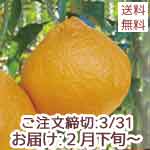 ��ë��������βСʤ���̤���