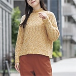 �ߥå������顼�Τդ��ꥻ������