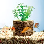 �Х������塼��