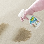 ���߼��̾�͡ʥ���ƥꥢ�ե��֥�å��ѡˣ�����