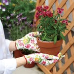 ����ե륰�����֣�������