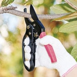 ����䤹��������������Ф���