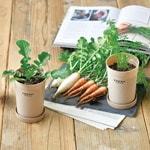 �������Ǻ��ں��ݥ��å�