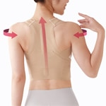 ����Ԥ�����δ��������ݡ������ԥ�ȩ