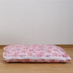 �������ļ�Ǽ��