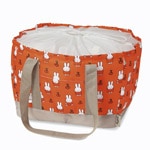 ����饯�����쥸��������Хå�