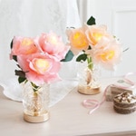 ���쥬��ȥ���ƥꥢ�饤�ȥ�����