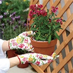 ����ե륰�����֣�����