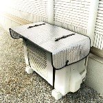 �磻�ɤǤ��ä����Ǯ�����ѥͥ룲����