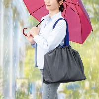 �Ϥÿ����ϤΥ쥤��Хå����С�