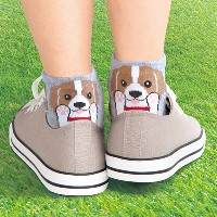 �Ҥ�ä���İ�����󤳥��å�����­��
