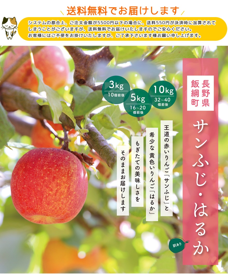 長野のりんご（訳あり）サンふじ・はるか | イチオシ！NEWアイテム