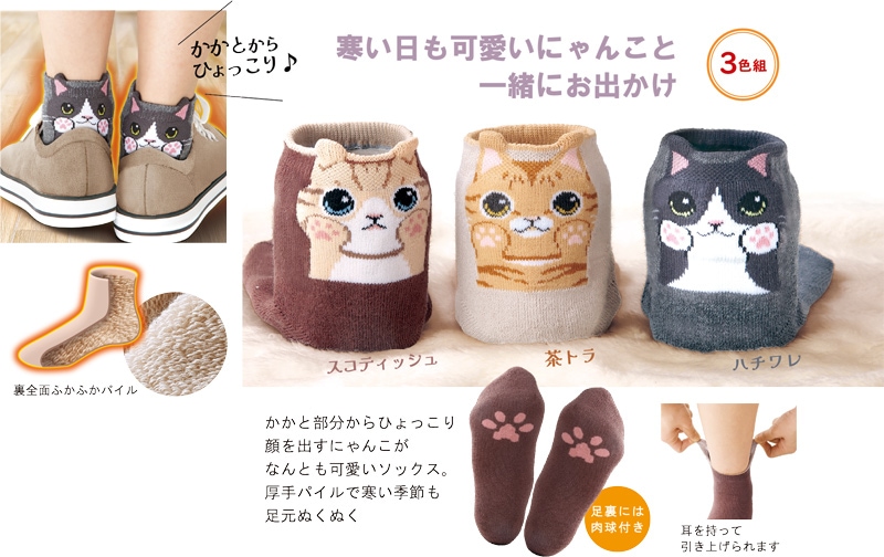 くぼともこさん　靴下を履いたトラ猫ちゃんの蓋物　小物入れ　コンガリ舎 ひょっこり可愛い暖かにゃんこソックス3色組 | すべての商品