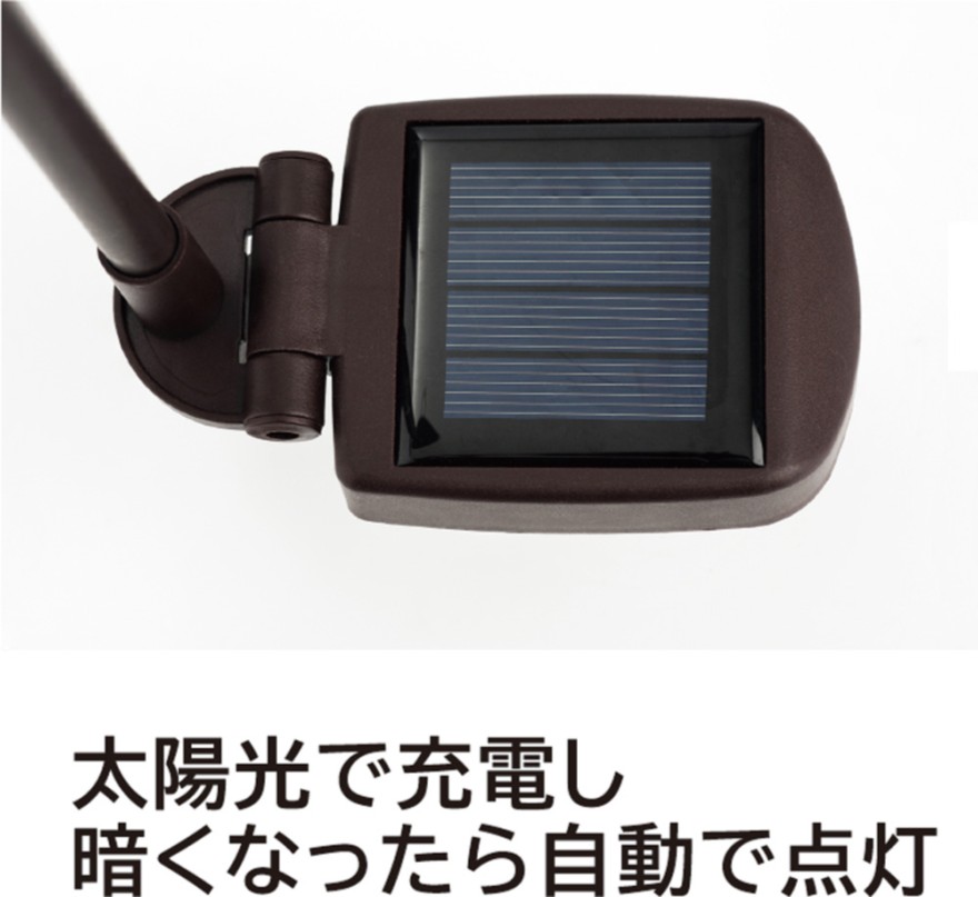 �ݥߥ������顼�����ǥ�饤��