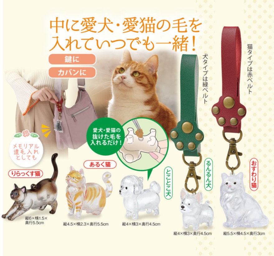 ���Фˤ���͡��郎�ҤΥ����ۥ����