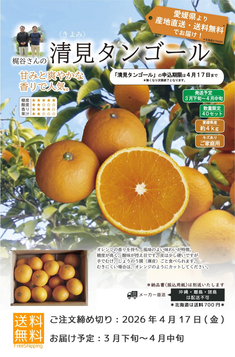 ��ë������������󥴡���