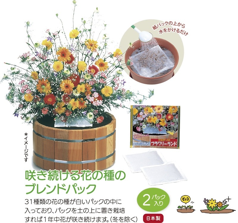 �ե��꡼����