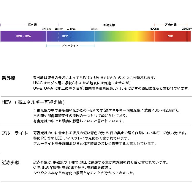 【10%OFF クーポン発行中！！】SOLAIZ ソライズ サングラス Daily use collection SLD-005 ウエリントン