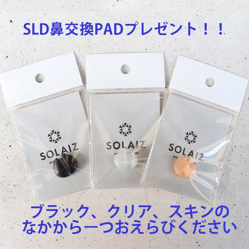 【10%OFF クーポン発行中！！】SOLAIZ ソライズ サングラス Daily use collection SLD-005 ウエリントン