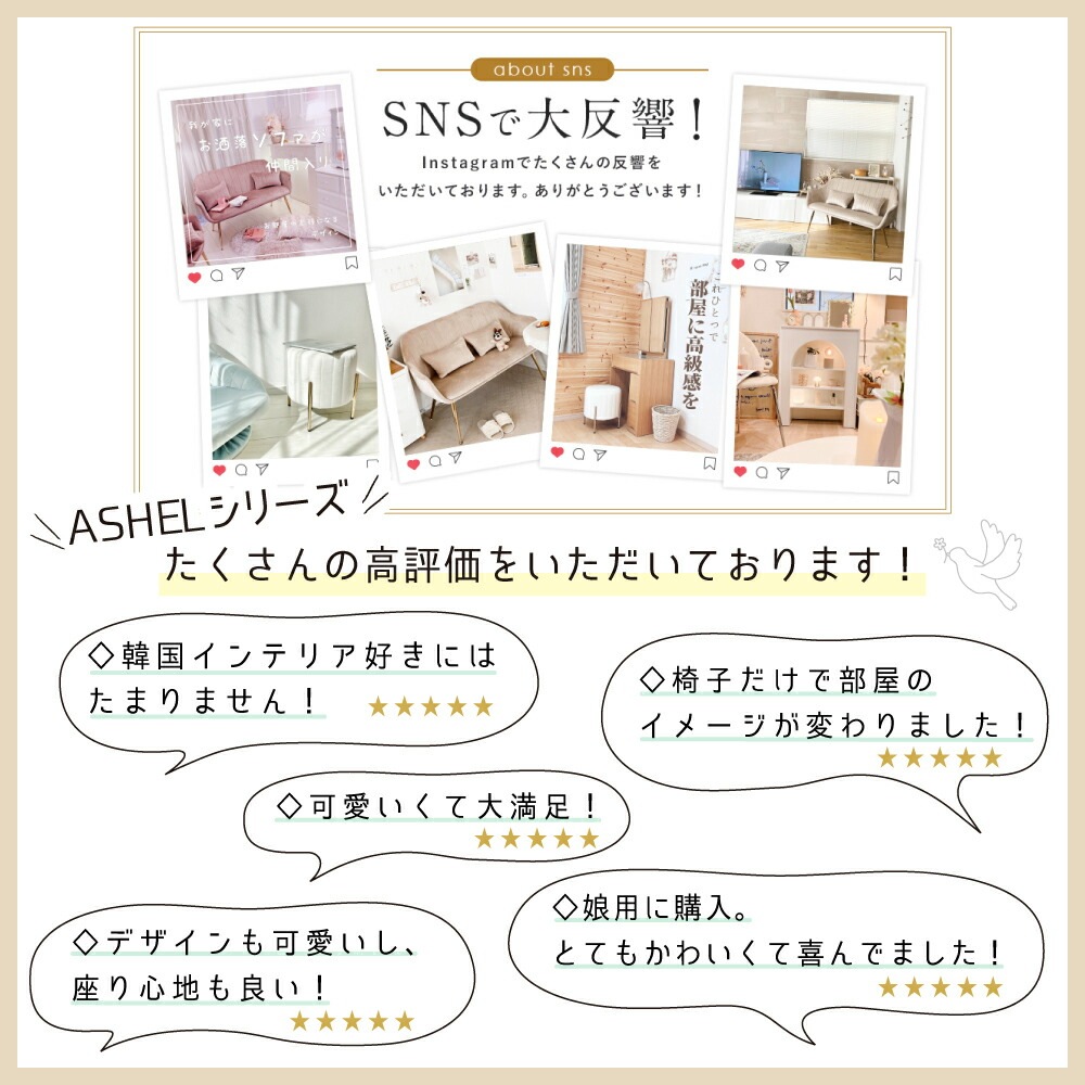 ASHEL lumina ダイニングチェア 4本金脚 TN-CH13D