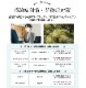 ں߸˽ʬSALE СJIN 200ppm 500mlȥꥬס70%OFF
