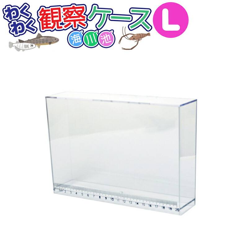 わくわく観察ケース LET200 L 釣り 幅21×高さ17×奥行5cm 目盛り付 プロマリン