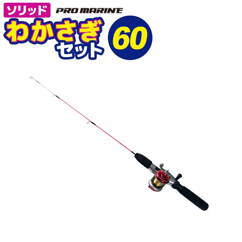釣り竿 ワカサギ竿 リールセット ソリッド 釣り わかさぎセット60 プロマリン