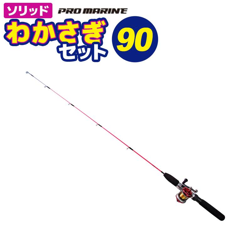 釣り竿 ワカサギ竿 リールセット ソリッド 釣り わかさぎセット90 プロマリン